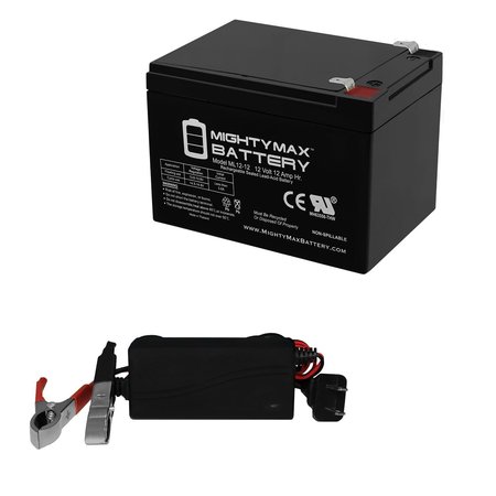 MIGHTY MAX BATTERY MAX3899949